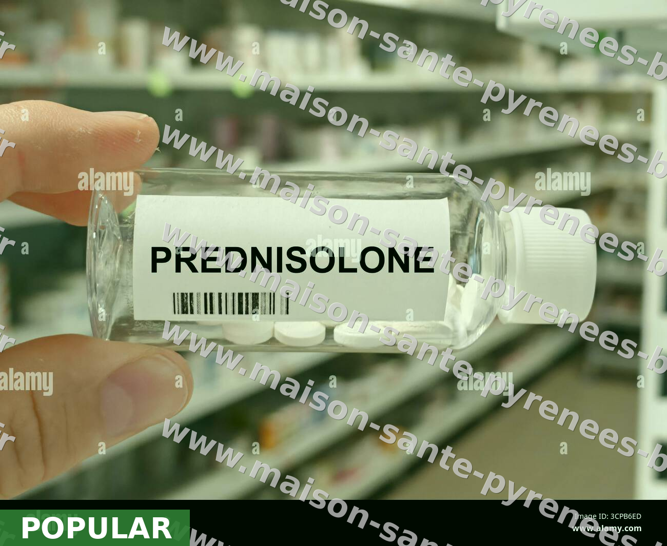 Prednisolone